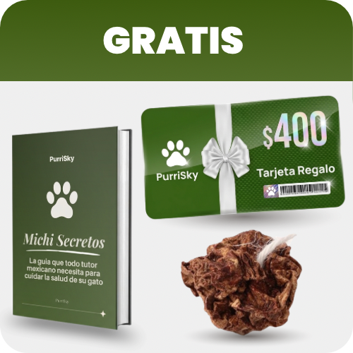 '+3 REGALOS GRATIS