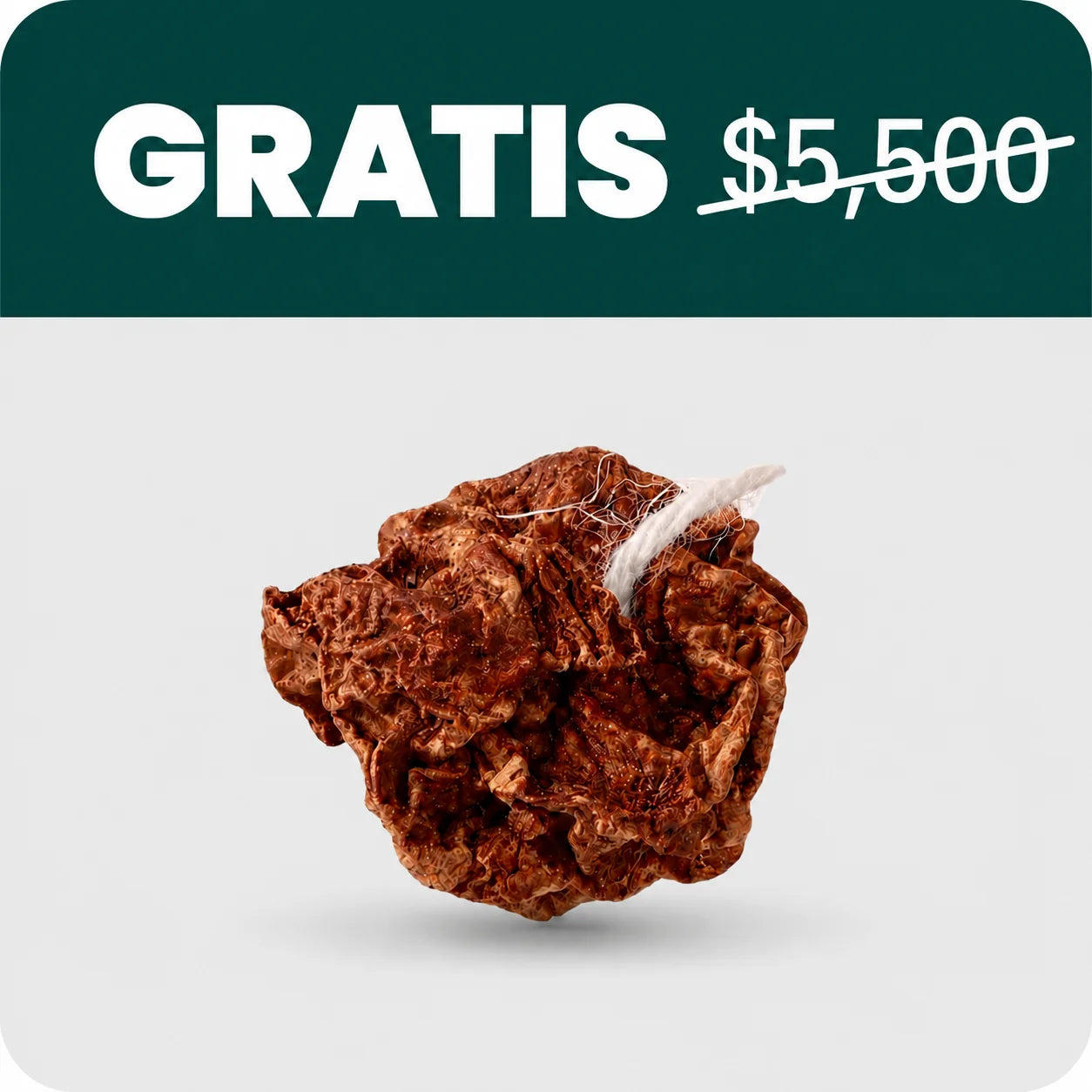 Fruta de agalla por palito