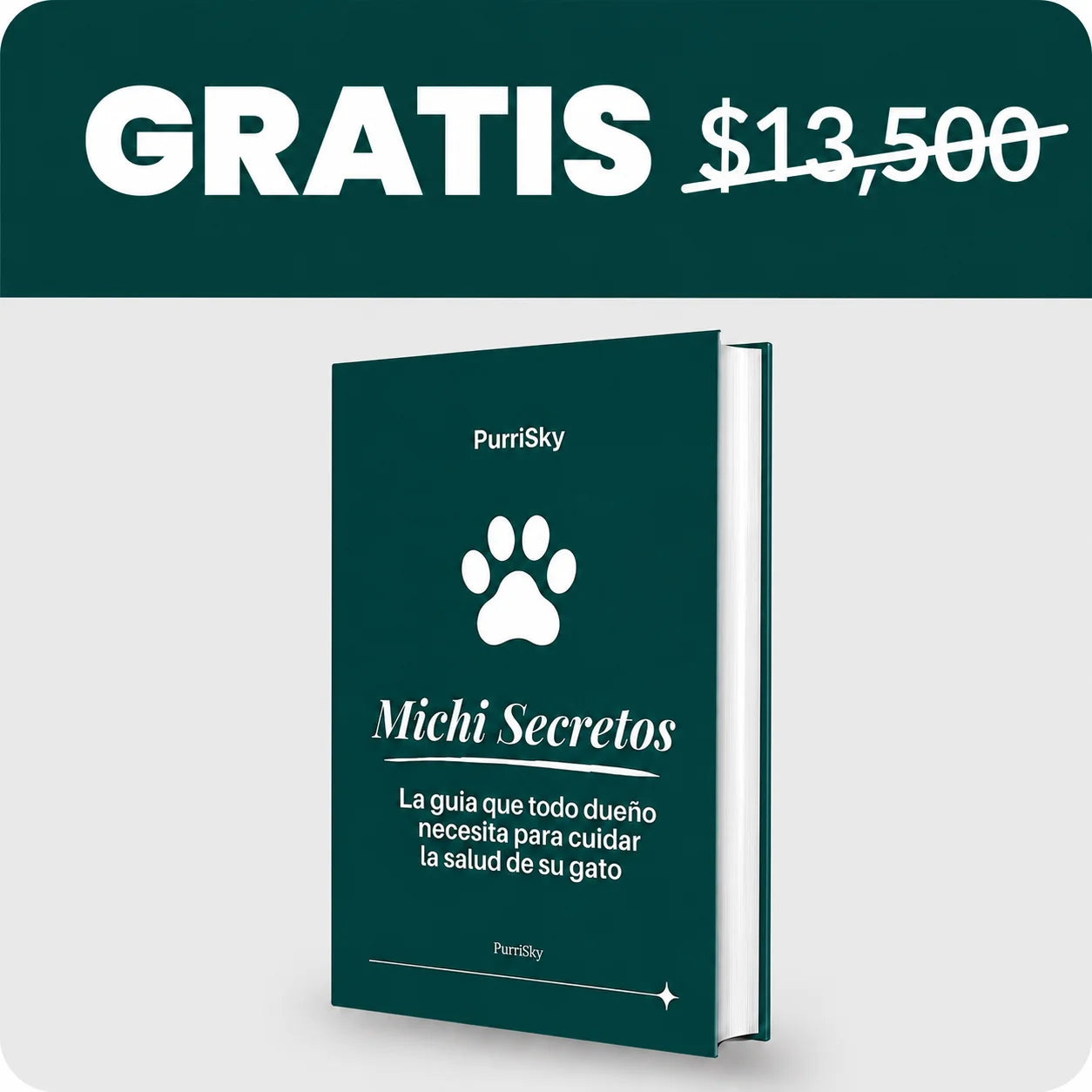 7 Secretos para un gato sano