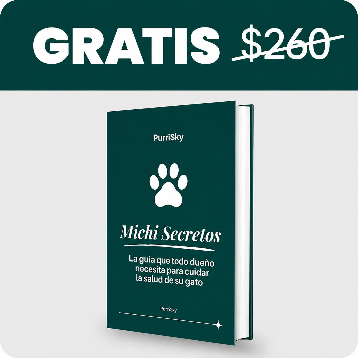 7 Secretos para un michi sano