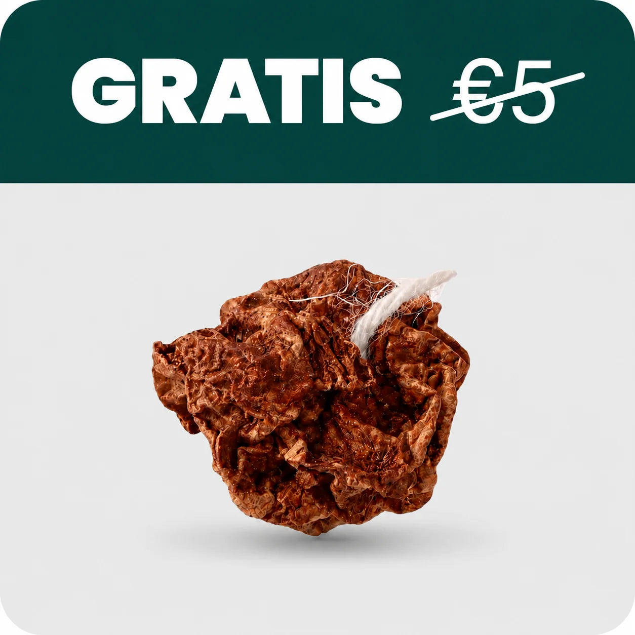 Fruta de agalla por palito