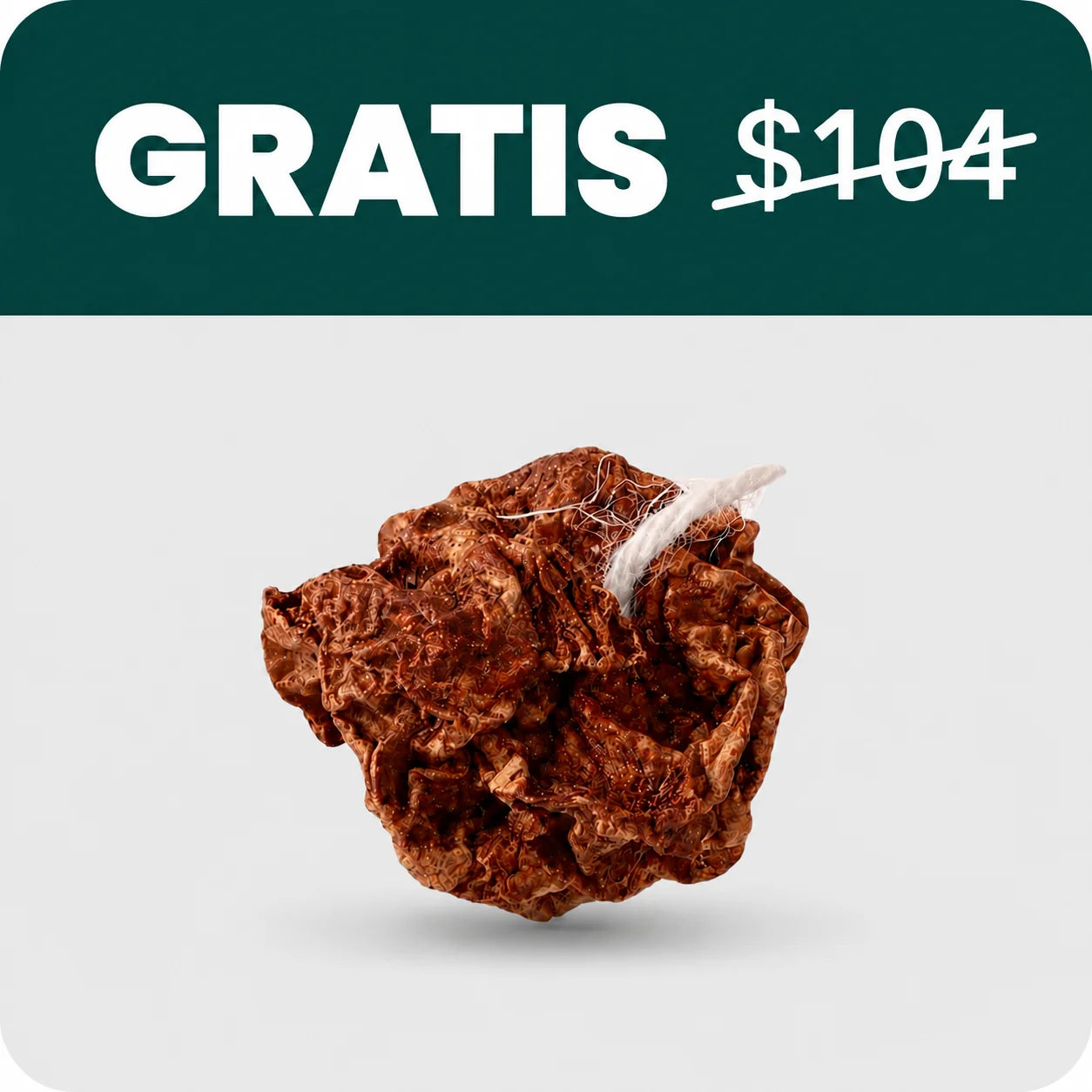 Fruta de agalla por palito