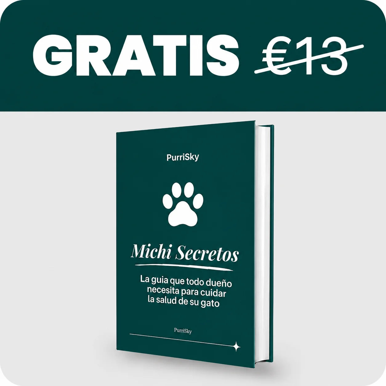 7 Secretos para un michi sano